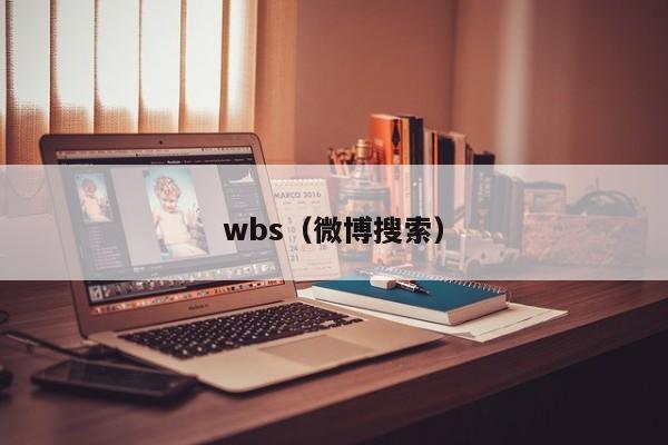 wbs(微博搜索)