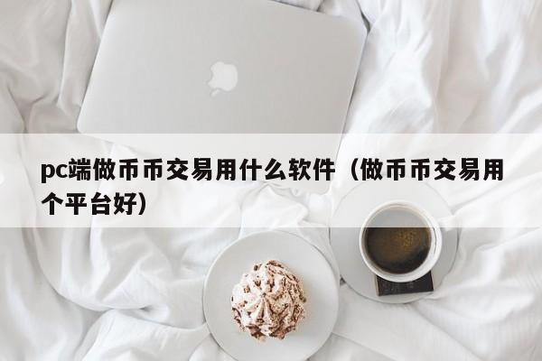 pc端做币币交易用什么软件(做币币交易用个平台好)