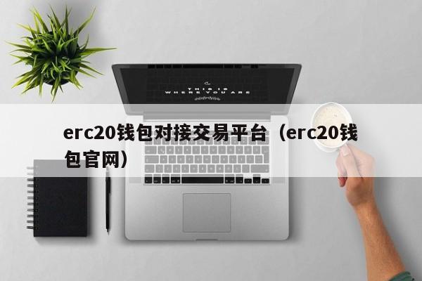 erc20钱包对接交易平台(erc20钱包官网)