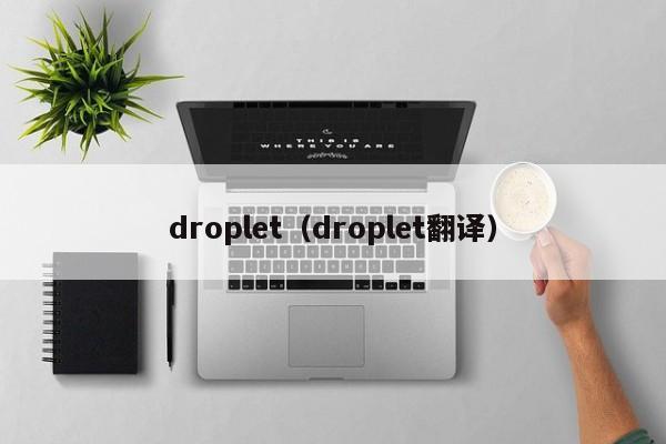 droplet(droplet翻译)