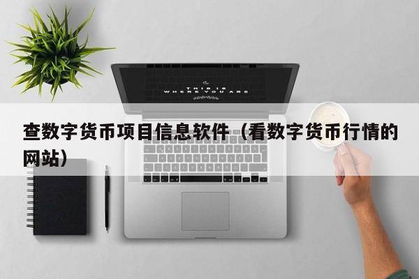 查数字货币项目信息软件(看数字货币行情的网站)