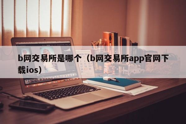 b网交易所是哪个(b网交易所app官网下载ios)